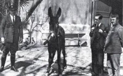 En Barcelona un burro preso